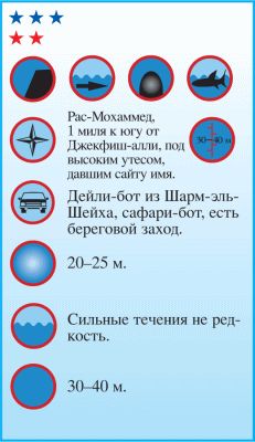 Андрей Рянский - Дайвинг. Красное море