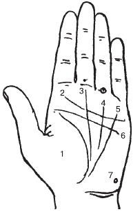 Теодор Шварц - Тайное знание. Секреты нумерологии, хиромантии, астрологии, гаданий