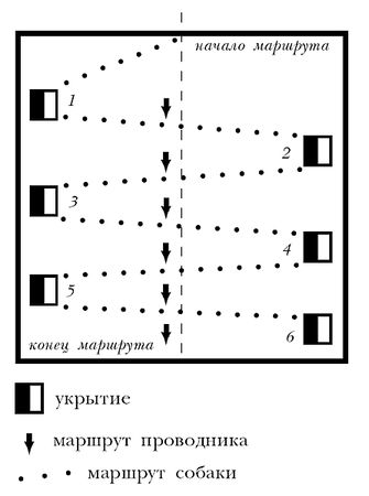 Ольга Зыкина - Немецкая овчарка