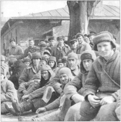 К. Александров - ПОД НЕМЦАМИ. Воспоминания, свидетельства, документы