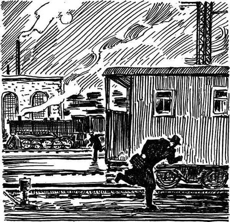 Роберт Паль - Бессмертники - цветы вечности