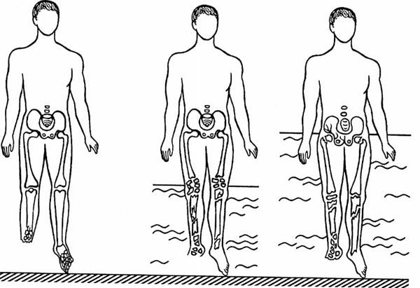 Александр Минченко - Раны. Лечение и профилактика осложнений. Учебное пособие