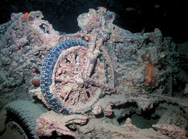 Андрей Рянский - Дайвинг. Красное море