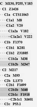 Анатолий Клёсов - ДНК-генеалогия от А до Т