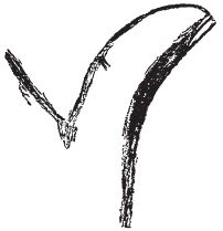 Луис Хамон - Энциклопедия хиромантии. Искусство толкования судьбы от древности...