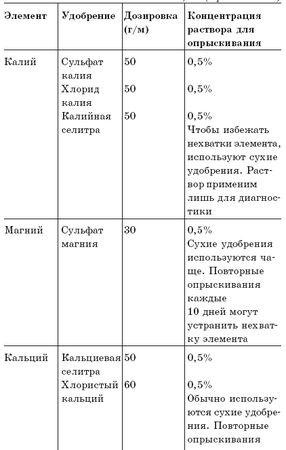 Анастасия Семенова - Луна и цветущий сад