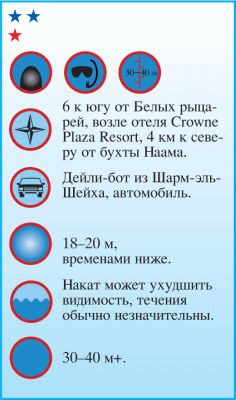 Андрей Рянский - Дайвинг. Красное море