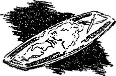 Александр Казанцев - Гость из космоса