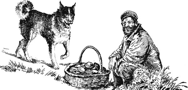 Вячеслав Чиркин - Северные были (сборник)