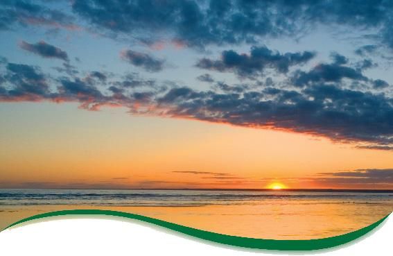 Никита Биржаков - Цифровая фотография в простых примерах