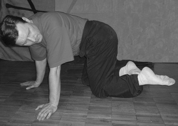 Владимир Шемшук - Встреча с Кощеем Бессмертным. Практика бессмертия