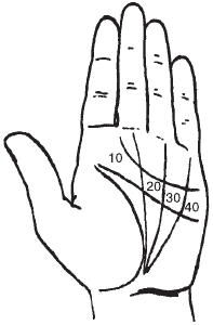Теодор Шварц - Тайное знание. Секреты нумерологии, хиромантии, астрологии, гаданий