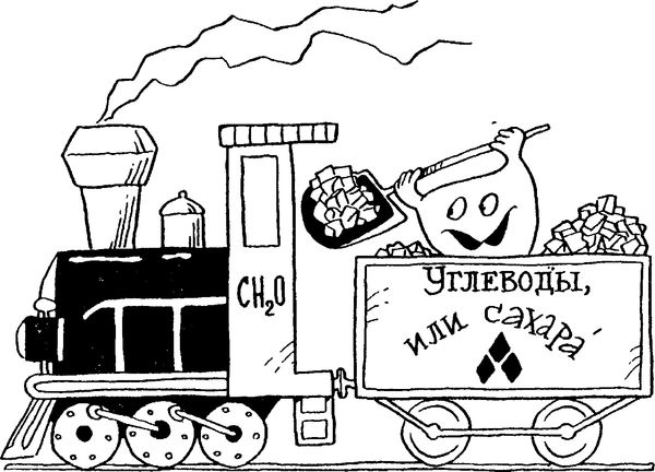 Б. Сергеев - Я познаю мир. Тайны человека