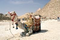 Цифровая фотография в простых примерах