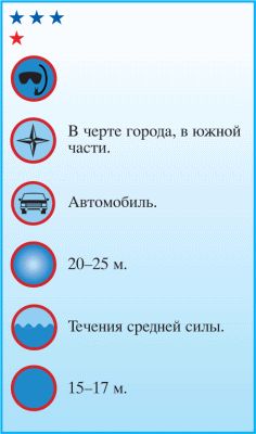 Андрей Рянский - Дайвинг. Красное море