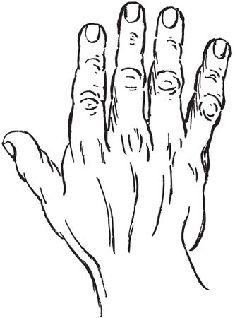 Луис Хамон - Энциклопедия хиромантии. Искусство толкования судьбы от древности...