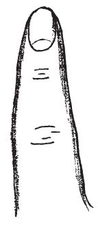 Луис Хамон - Энциклопедия хиромантии. Искусство толкования судьбы от древности...