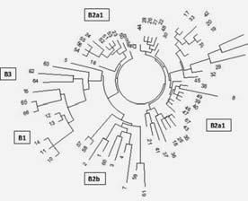 Анатолий Клёсов - ДНК-генеалогия от А до Т
