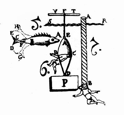 Герман Хеберляйн - Подводный мир