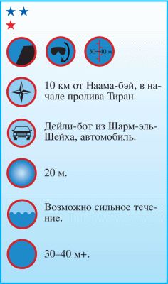 Андрей Рянский - Дайвинг. Красное море