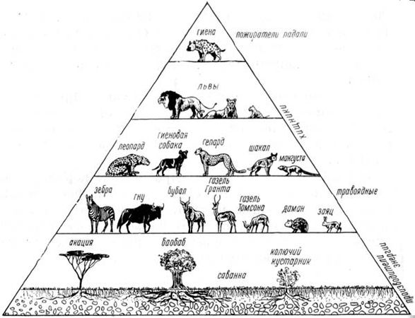 Феликс Родригес де ла Фуэнте - Африканский рай