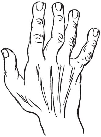 Луис Хамон - Энциклопедия хиромантии. Искусство толкования судьбы от древности...