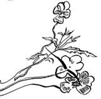 Николай Рубцов - Лирика