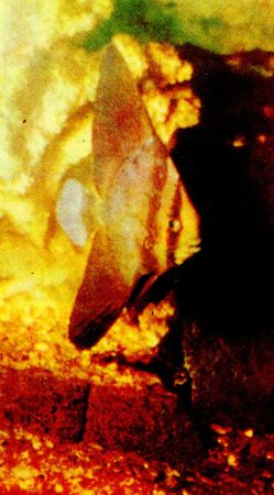 Герман Хеберляйн - Подводный мир