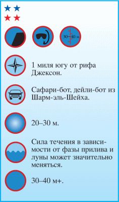 Андрей Рянский - Дайвинг. Красное море