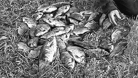 Эрнст Мулдашев - Всемирный потоп. Мистический закон четырех шестерок