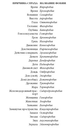 Стивен Джуан - История мозга. 1640 фактов