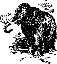 Александр Казанцев - Гость из космоса