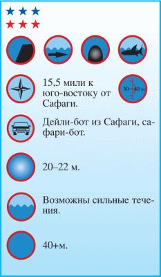 Андрей Рянский - Дайвинг. Красное море