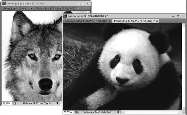 Юрий Гурский, Геннадий Кондратьев - Фотоприколы с помощью Photoshop