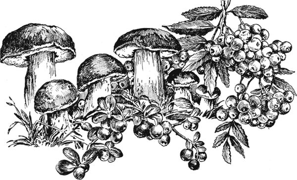 Вячеслав Чиркин - Северные были (сборник)