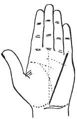 Теодор Шварц - Тайное знание. Секреты нумерологии, хиромантии, астрологии, гаданий