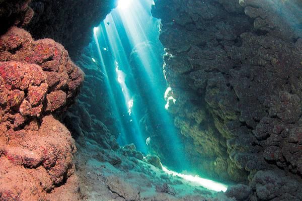 Андрей Рянский - Дайвинг. Красное море