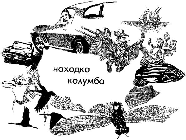 Василий Песков, Борис Стрельников - Земля за океаном