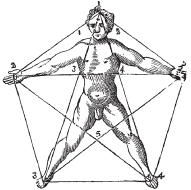 Теодор Шварц - Тайное знание. Секреты нумерологии, хиромантии, астрологии, гаданий