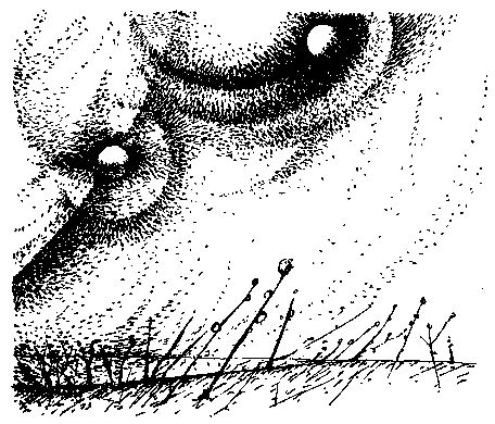 Дмитрий Биленкин - Ночь контрабандой. Рассказы