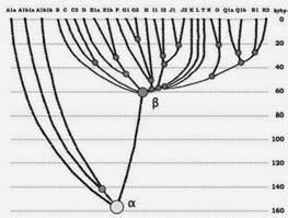 Анатолий Клёсов - ДНК-генеалогия от А до Т