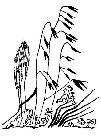 Николай Рубцов - Лирика