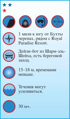 Андрей Рянский - Дайвинг. Красное море