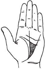 Теодор Шварц - Тайное знание. Секреты нумерологии, хиромантии, астрологии, гаданий