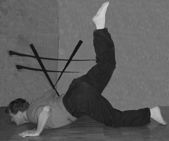 Владимир Шемшук - Встреча с Кощеем Бессмертным. Практика бессмертия