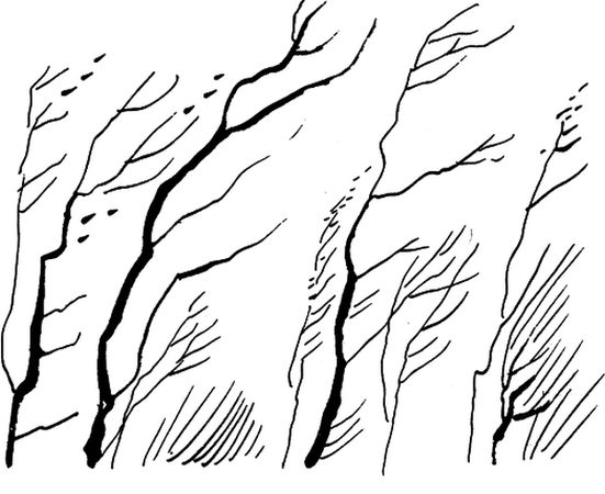 Николай Рубцов - Лирика