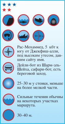 Андрей Рянский - Дайвинг. Красное море