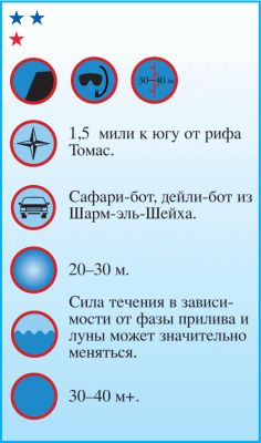 Андрей Рянский - Дайвинг. Красное море