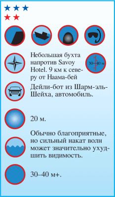 Андрей Рянский - Дайвинг. Красное море