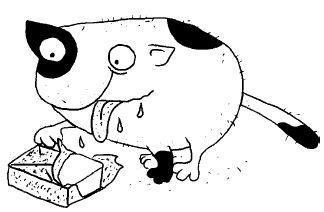 Марта Кетро - Женщины и коты, мужчины и кошки